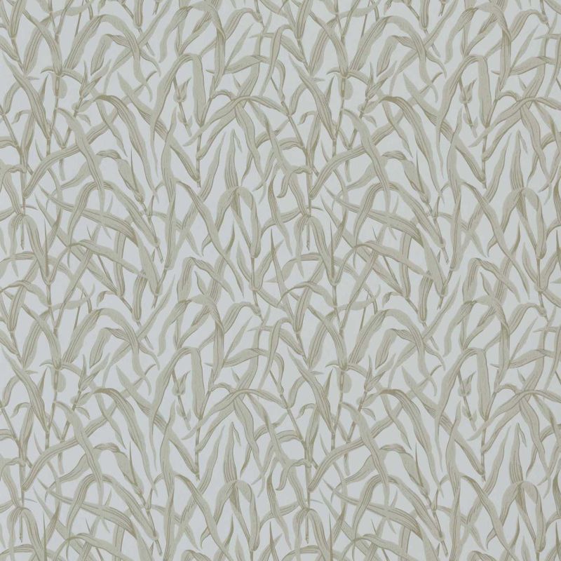 Ornamental Grasses