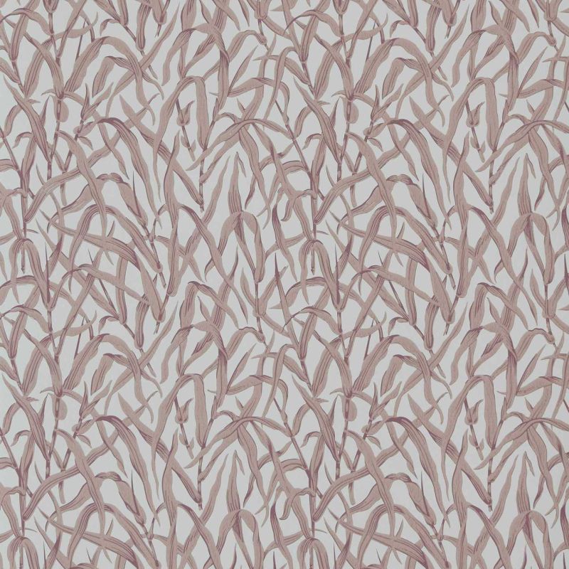 Ornamental Grasses