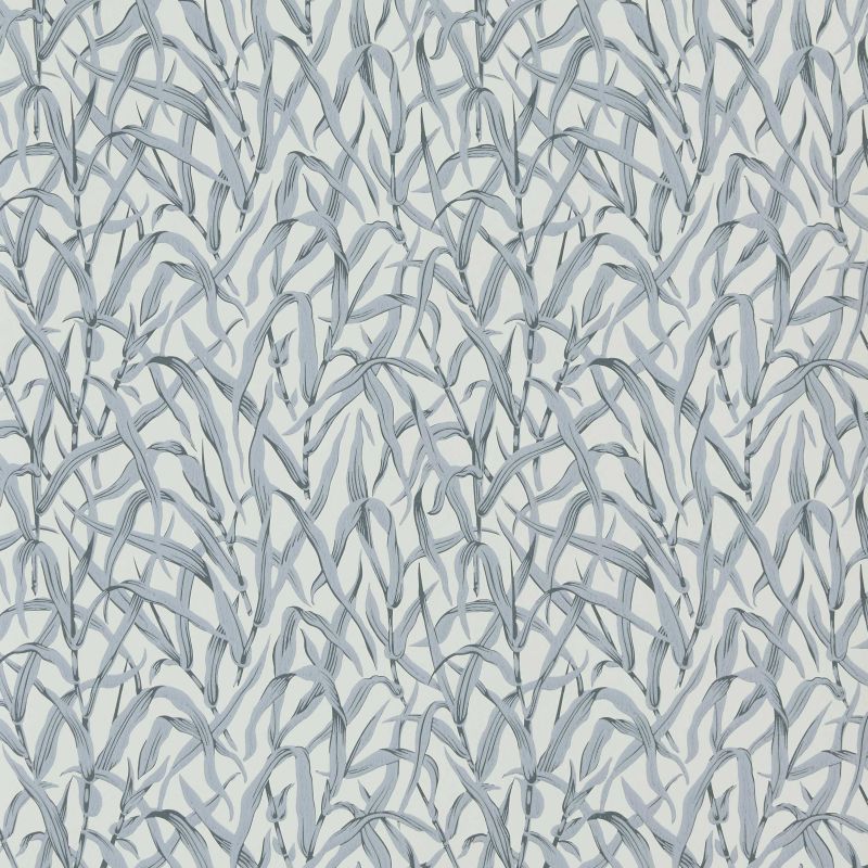 Ornamental Grasses