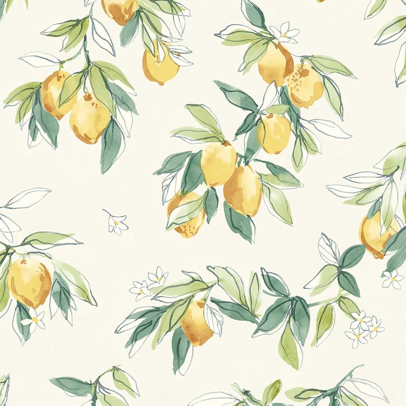 Lemonade