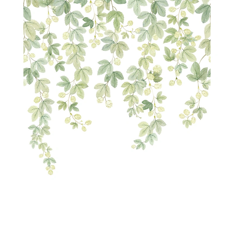 Fruit Du Houblon Intisse