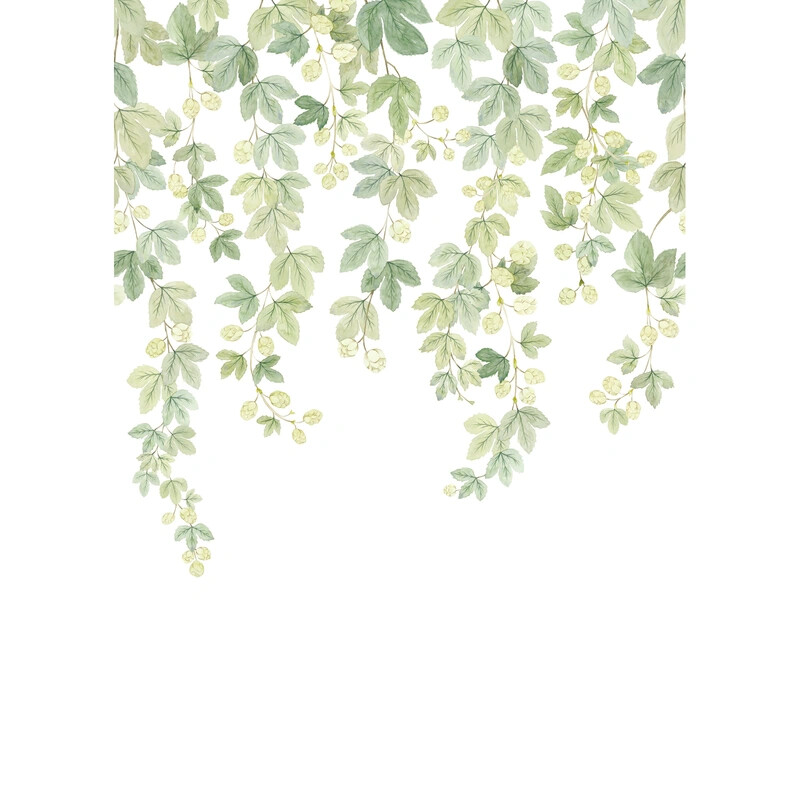Fruit Du Houblon Vinyle
