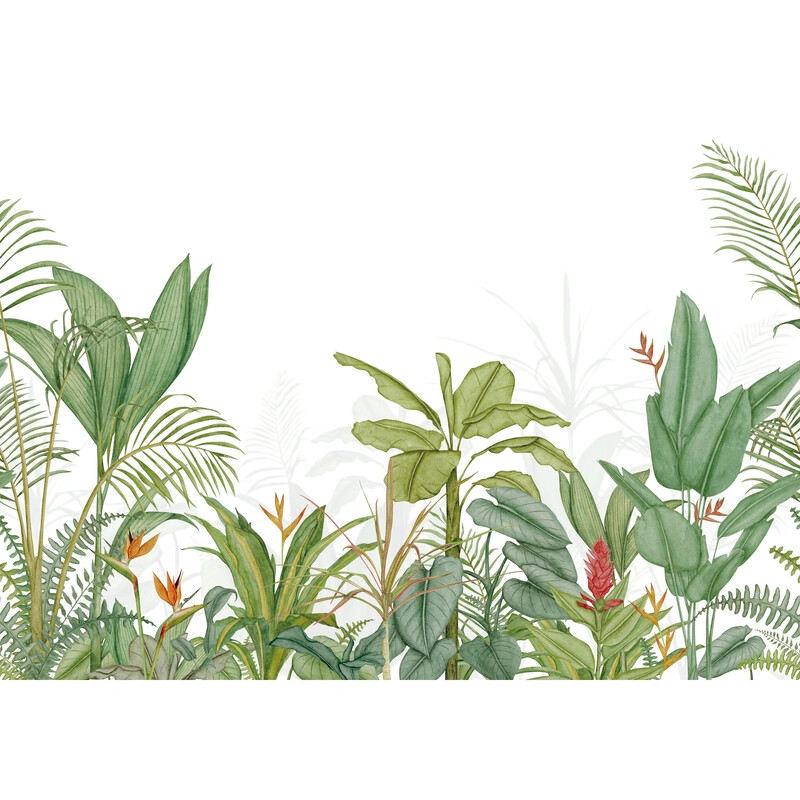 Eden Tropical Intisse