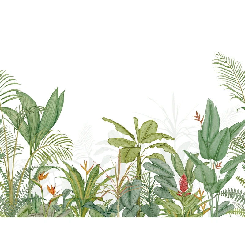 Eden Tropical Intisse