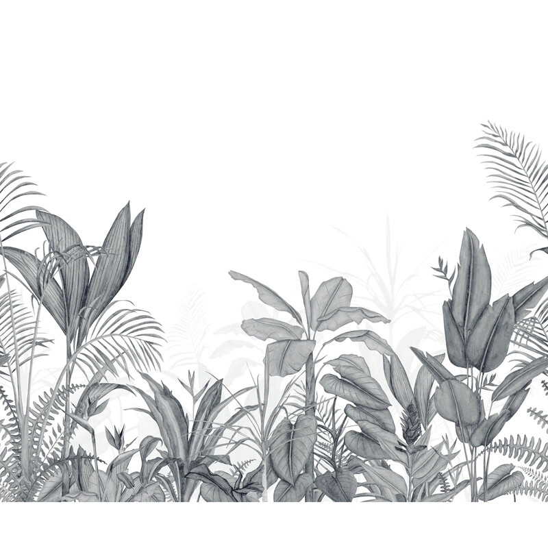 Eden Tropical Intisse
