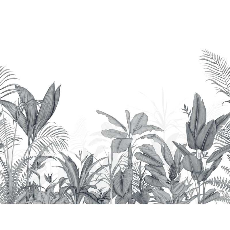 Eden Tropical Intisse