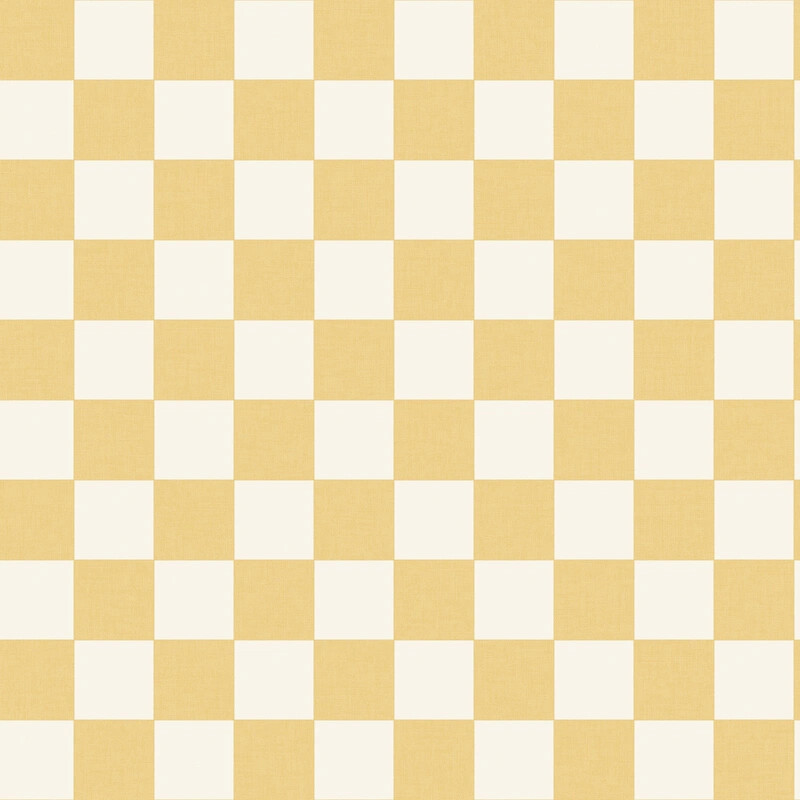 Checks