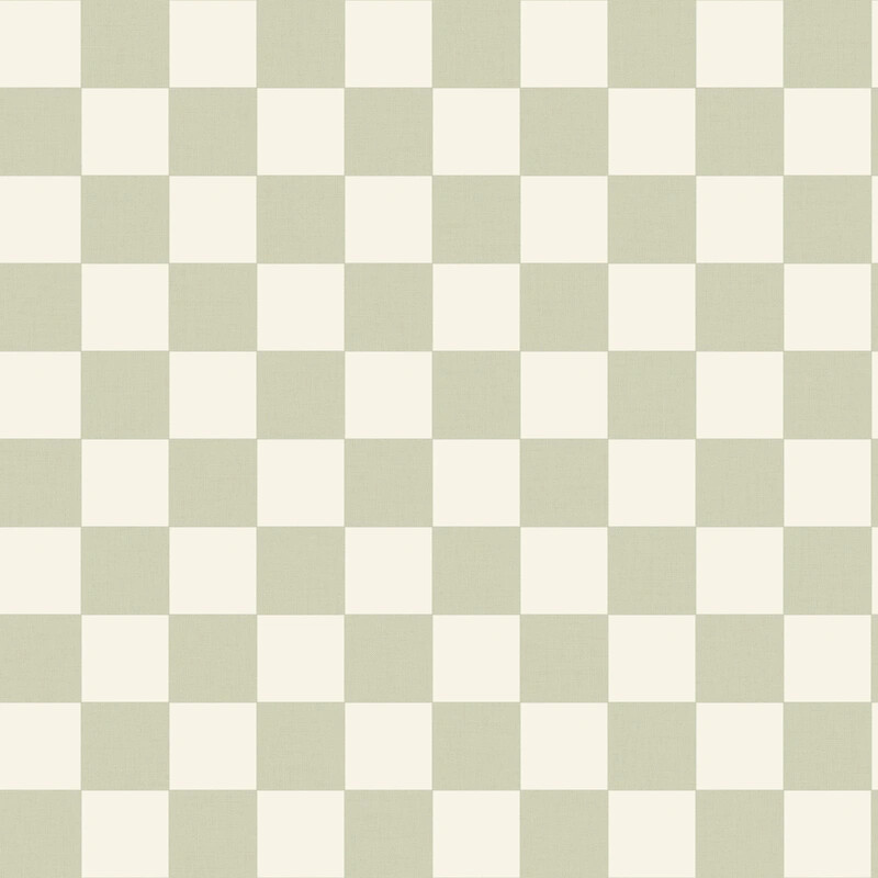 Checks