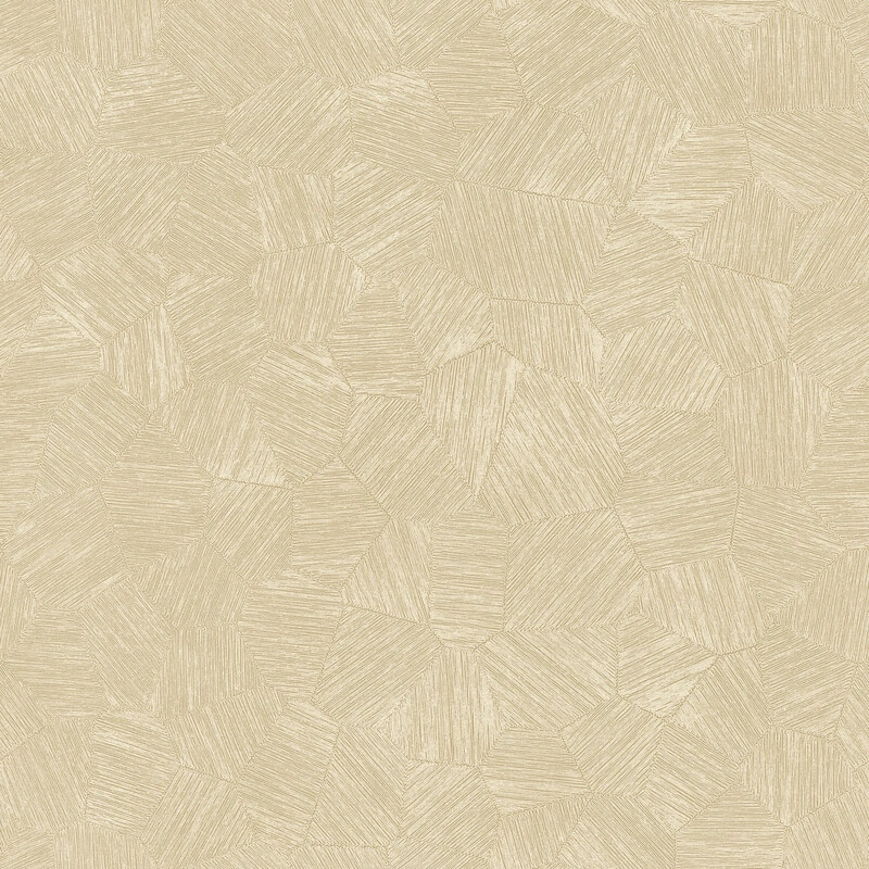 Fragments