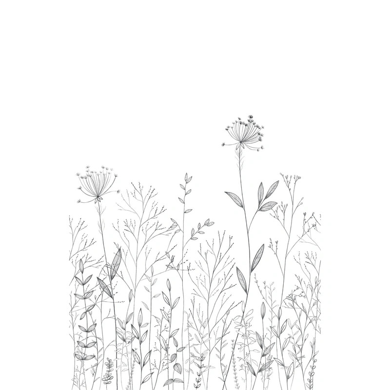 Field Line