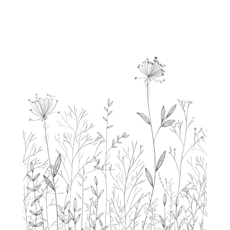 Field Line
