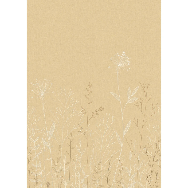 Field Line