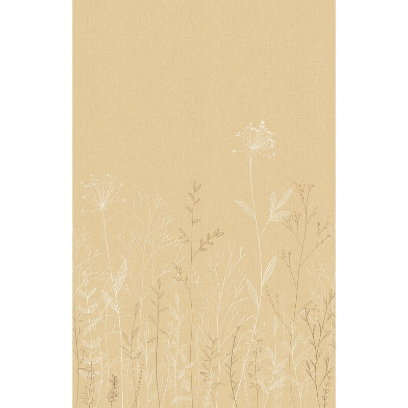 Field Line