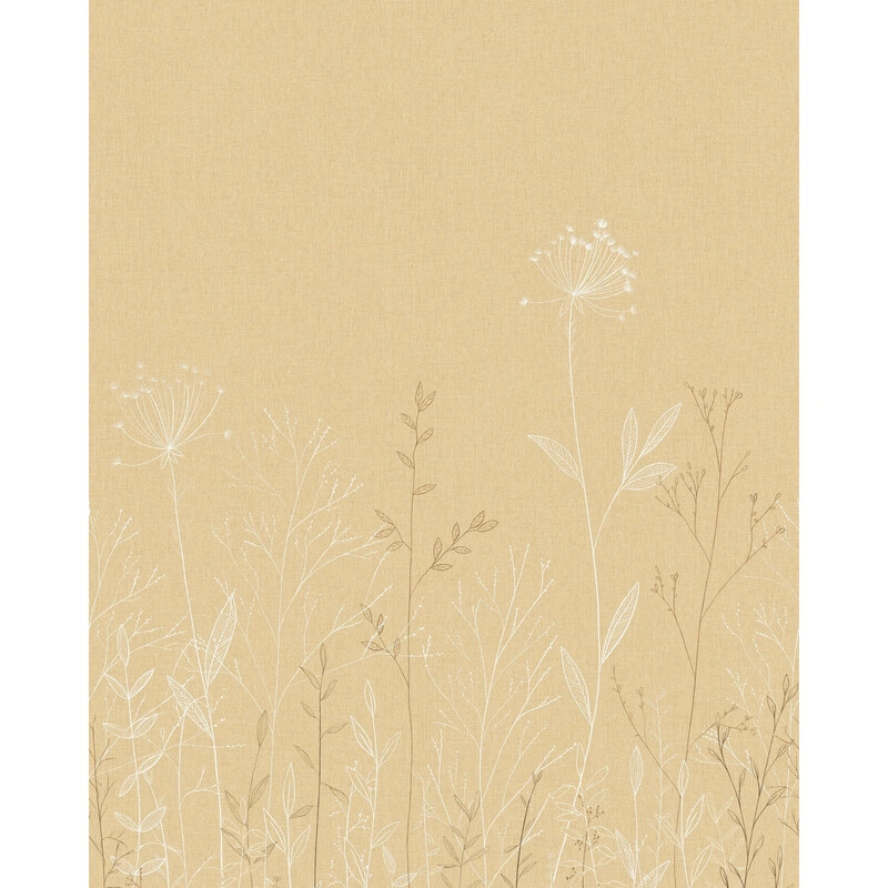 Field Line