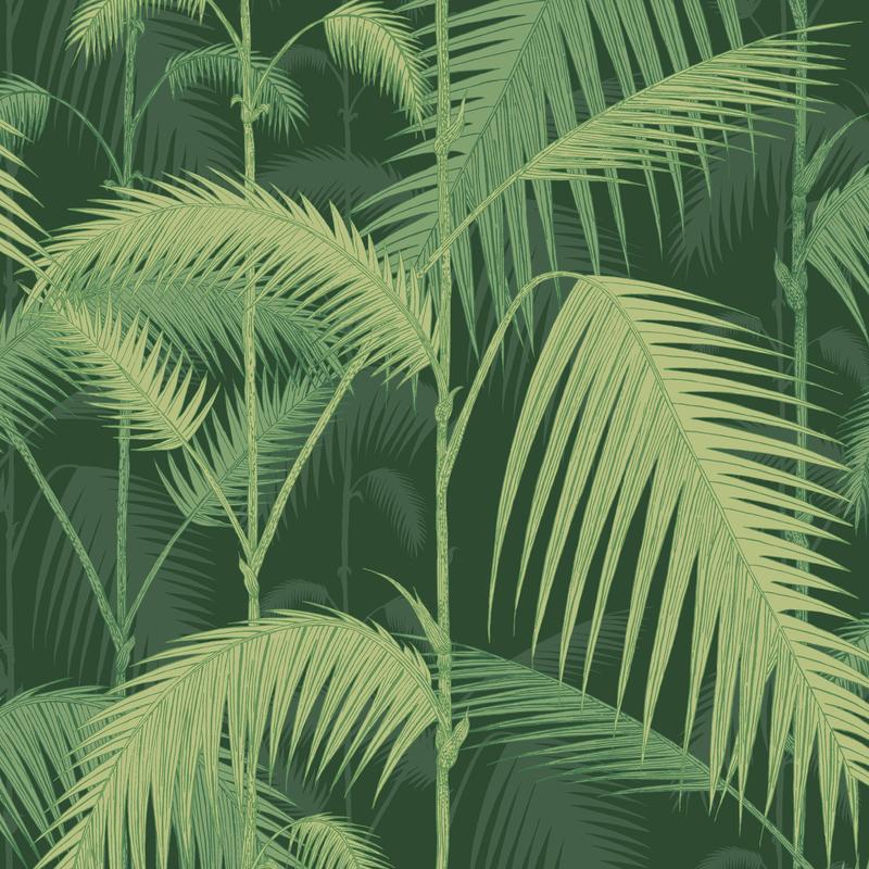 Palm Jungle