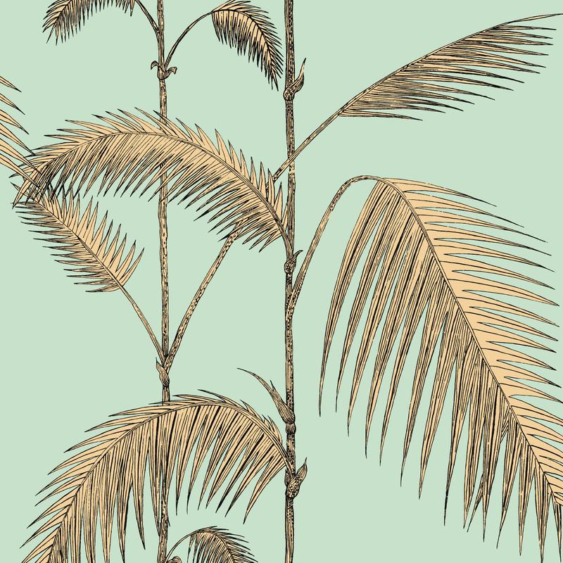 Palm Leaves
