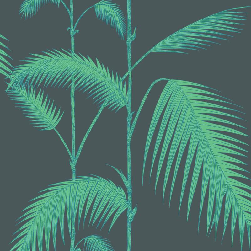 Palm Leaves