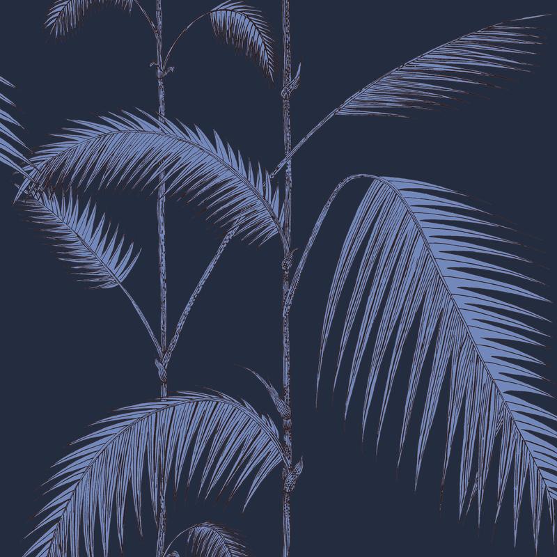 Palm Leaves