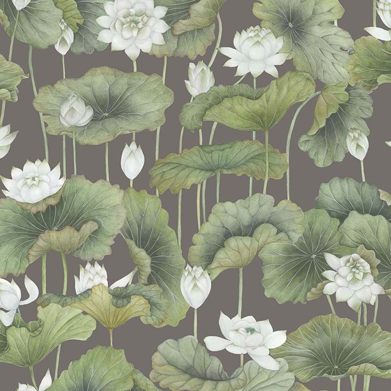 Lily Lotus