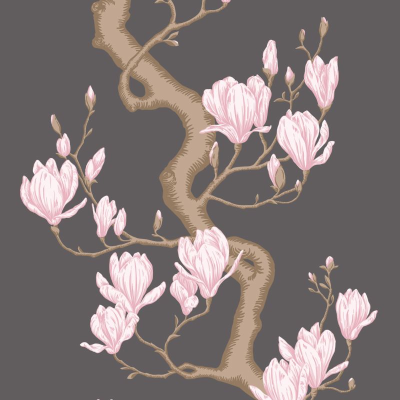 Magnolia Tree