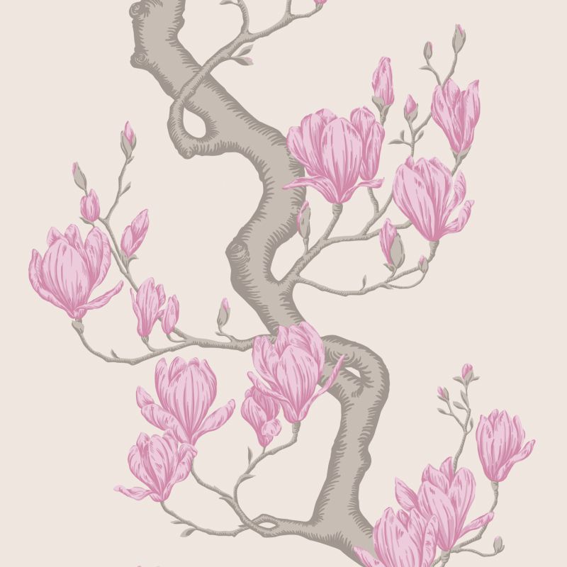 Magnolia Tree