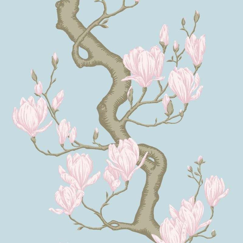Magnolia Tree