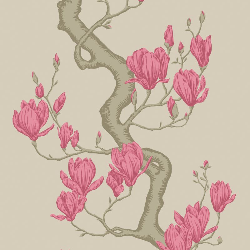 Magnolia Tree