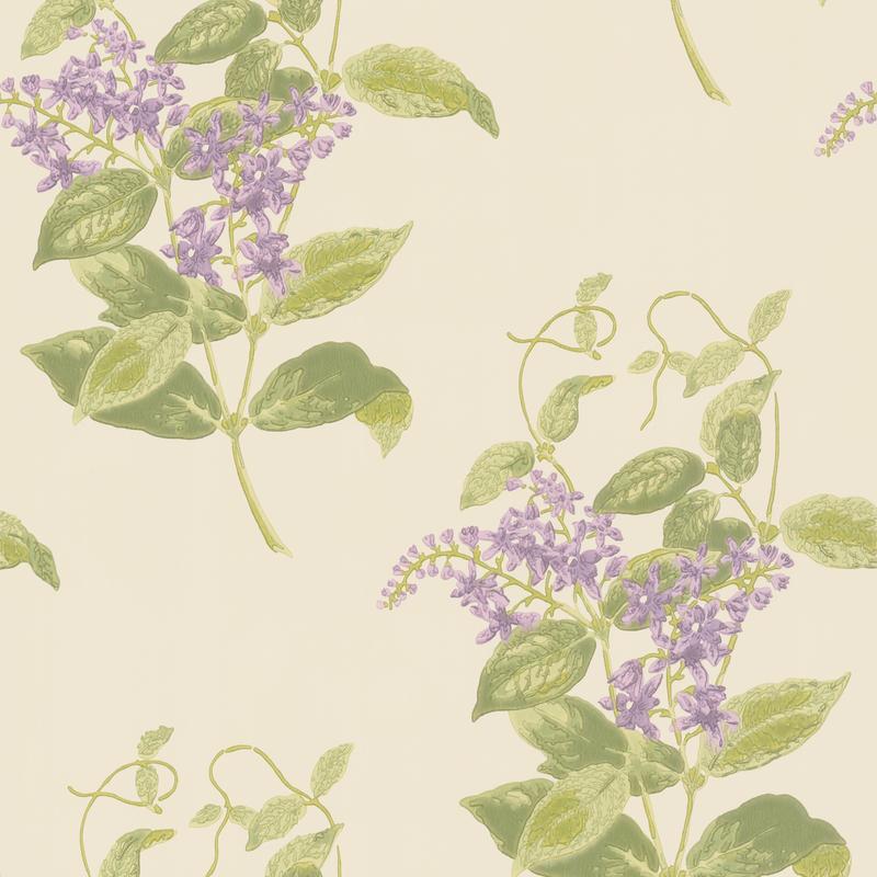 Madras Violet