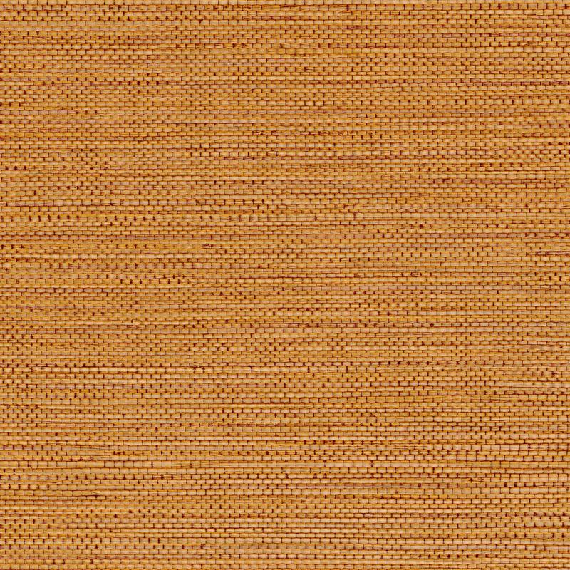 Zostera