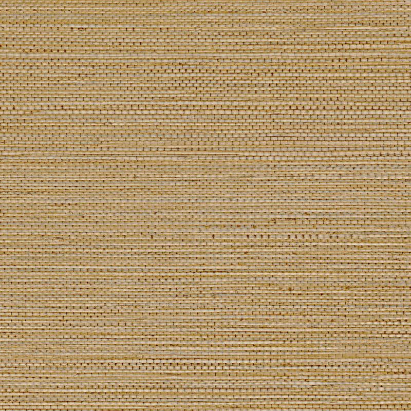 Zostera