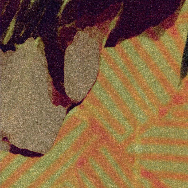 Un Conte Fantastique