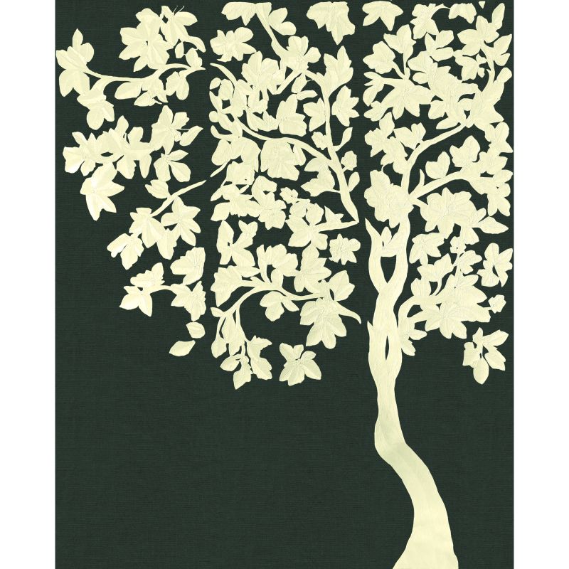 Asvata
