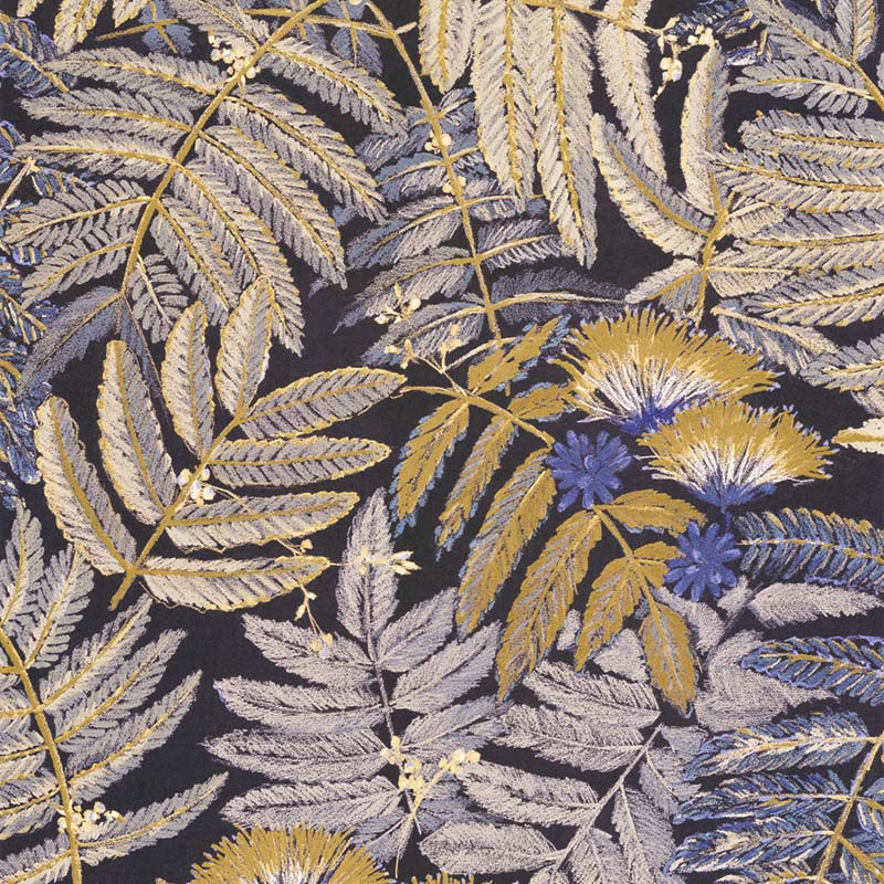 Albizia 