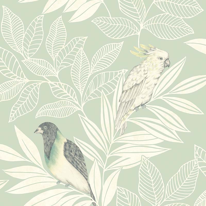 Paradise Island Birds 