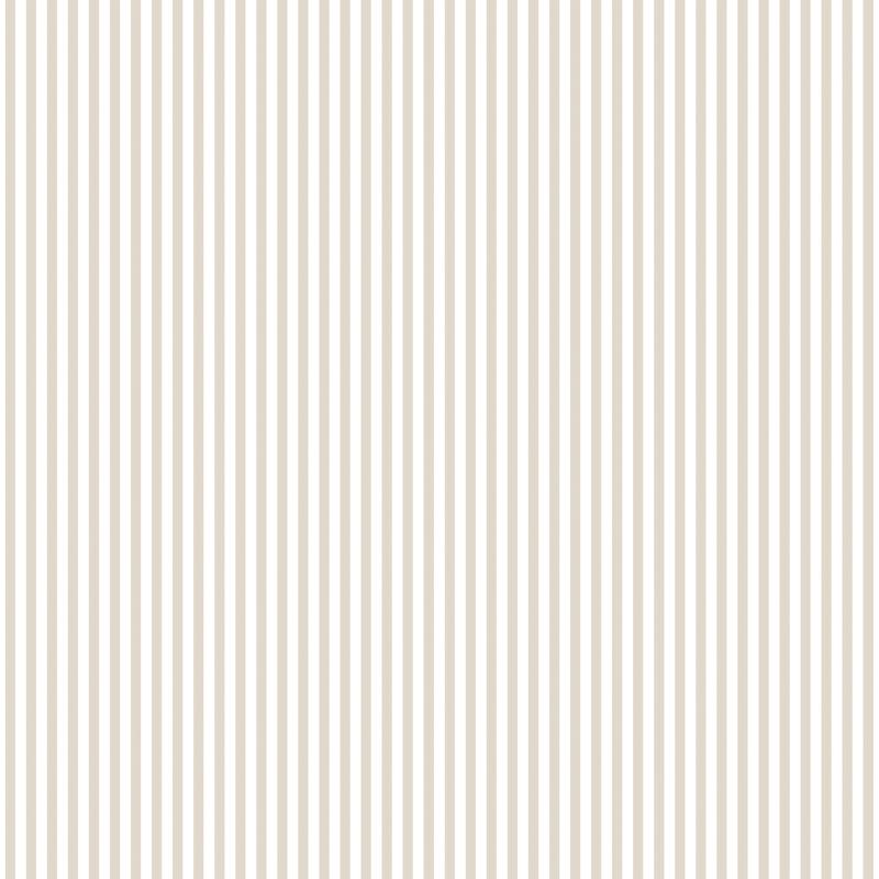 Shirt Stripe