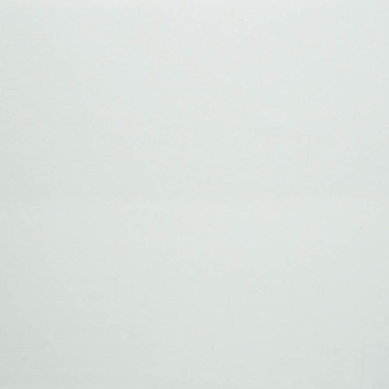 Velum