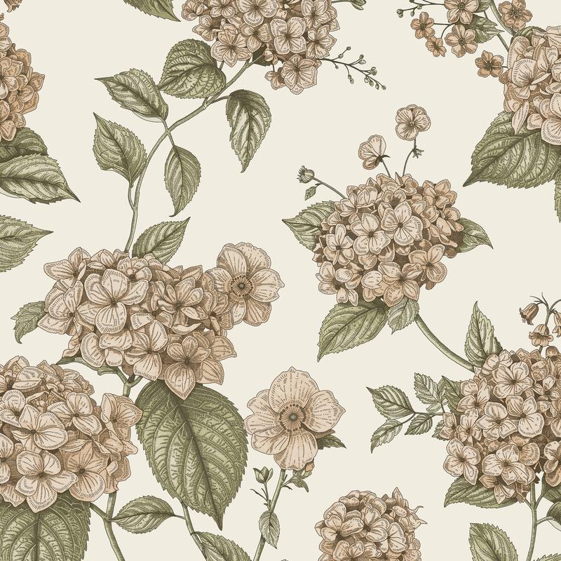 Hortensia