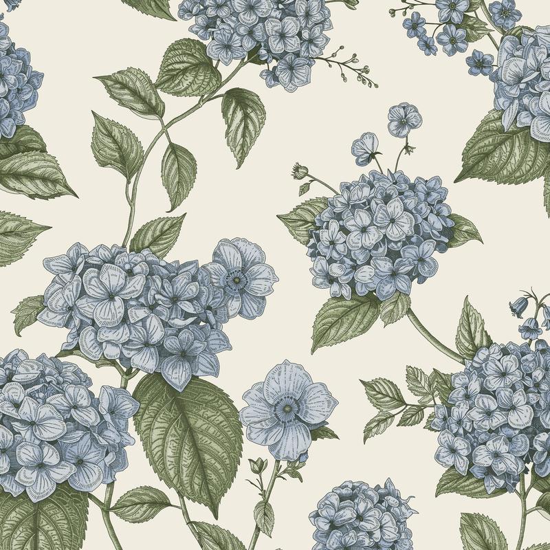 Hortensia