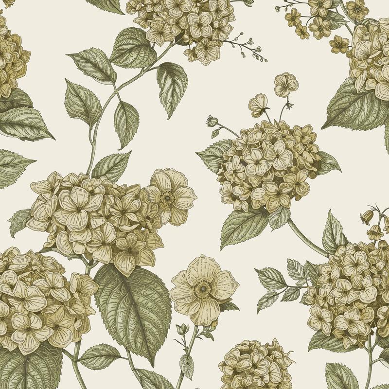 Hortensia