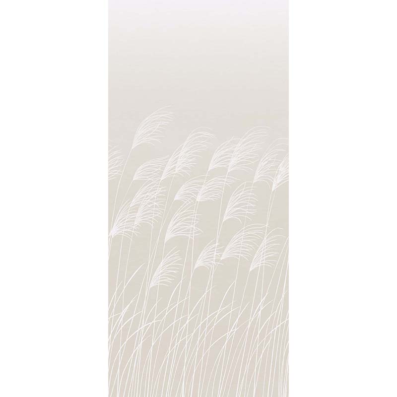 Miscanthus