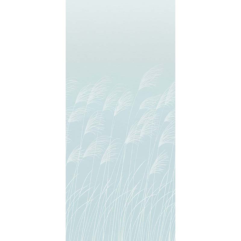 Miscanthus