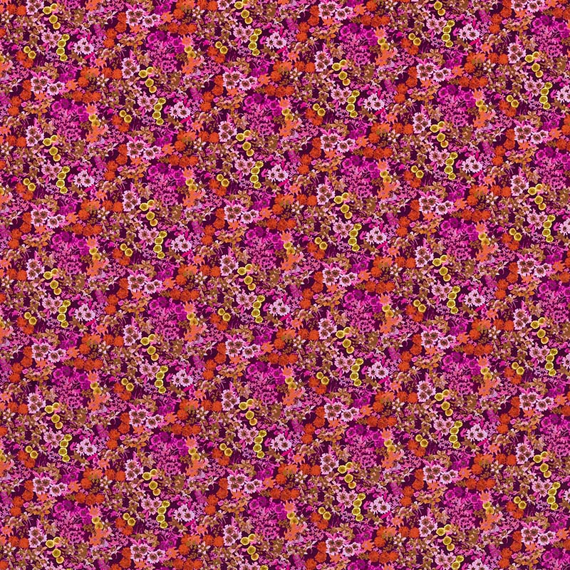 Wildflower Meadow