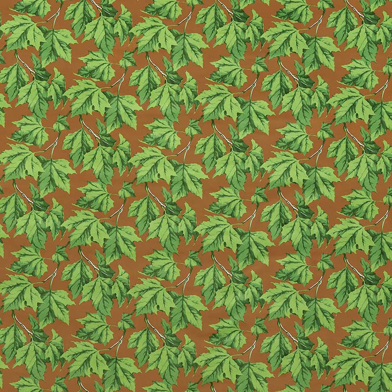 Dappled Leaf