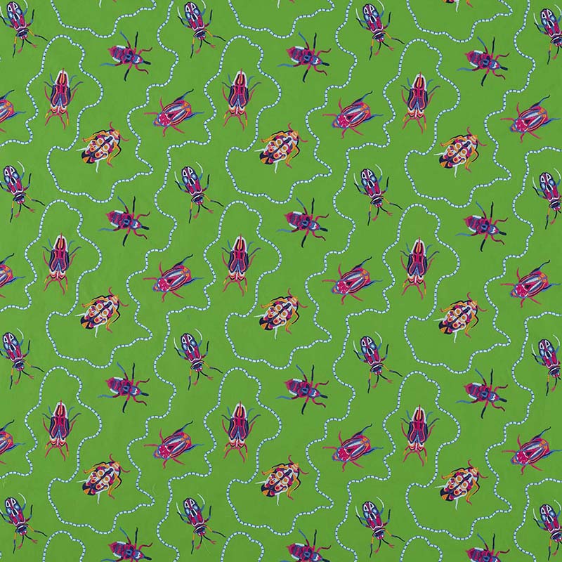Jewel Beetles