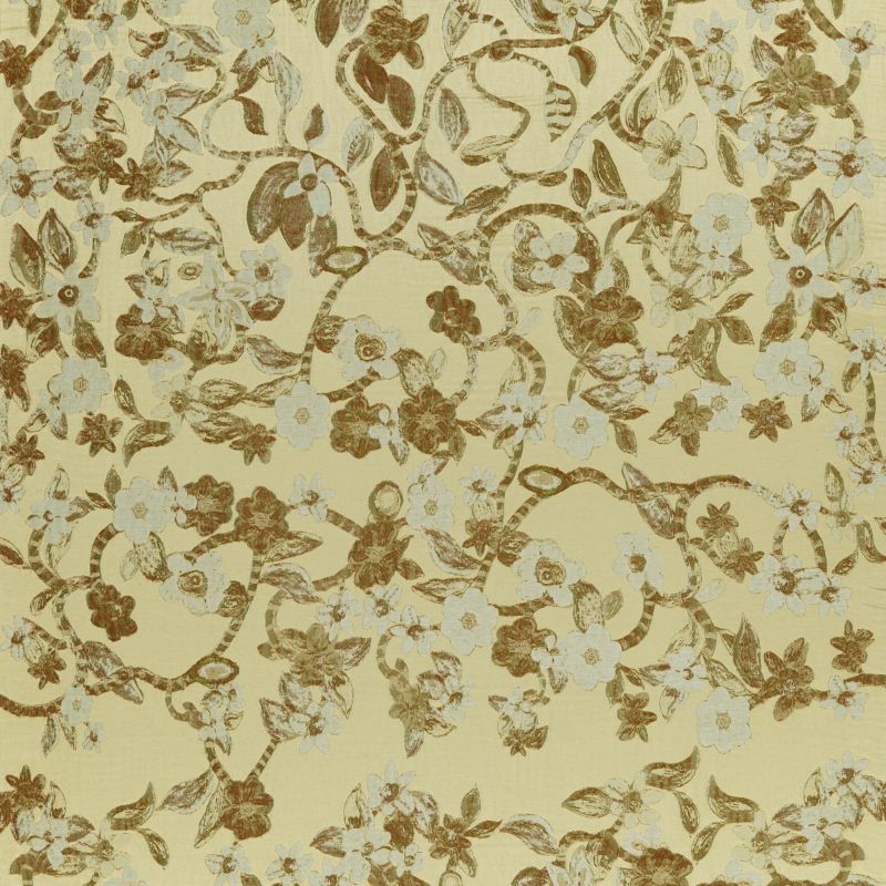 Wild Vines Of The Cardamom