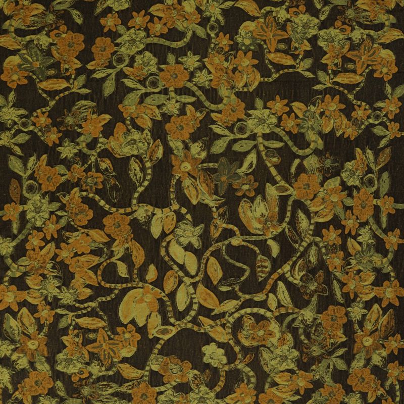 Wild Vines Of The Cardamom