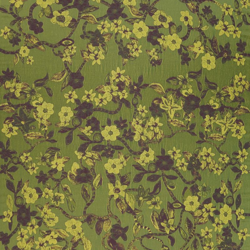 Wild Vines Of The Cardamom