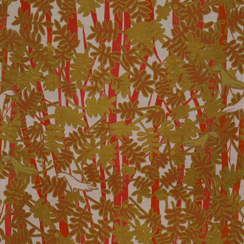 Wildlife Of The Rainforest