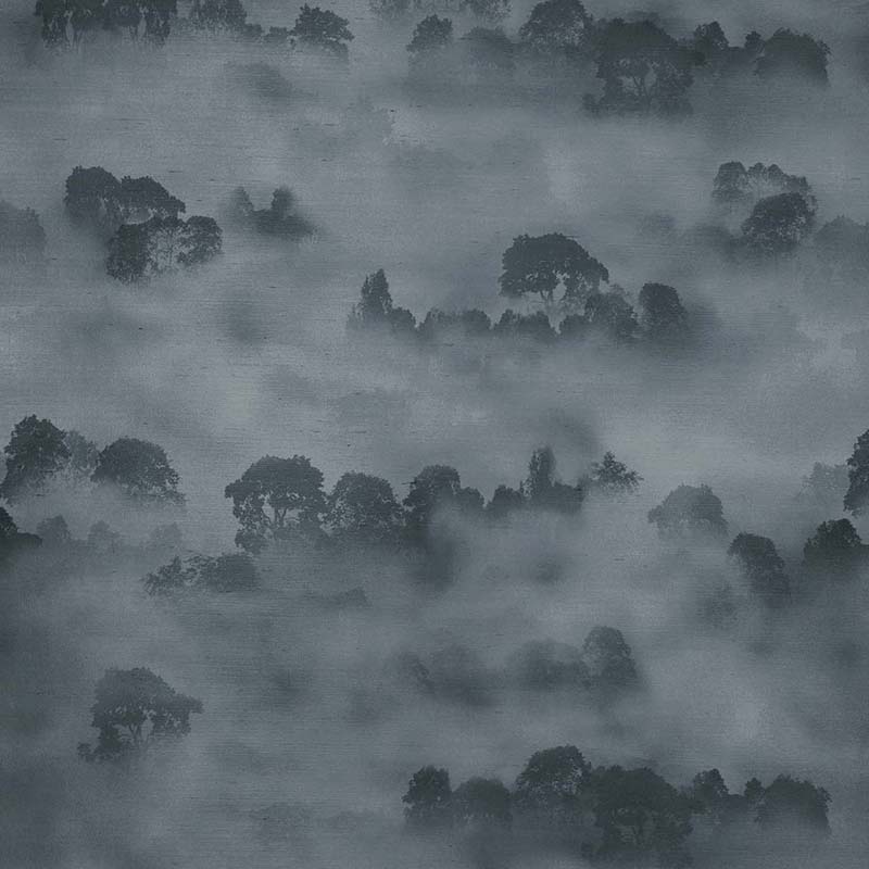 Misty Forest   