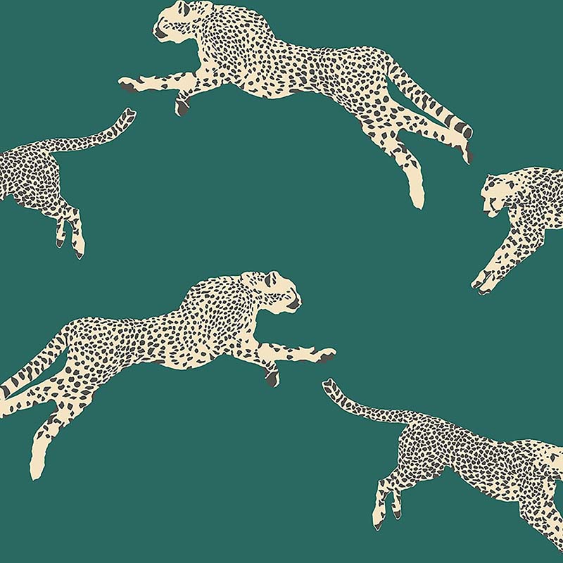 Leaping Cheetah